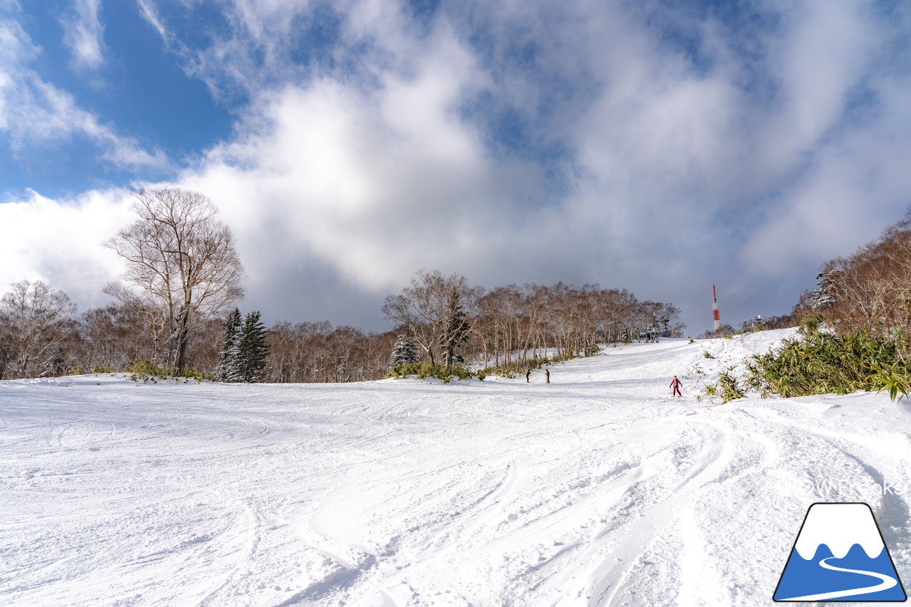 サッポロテイネ｜久しぶりの降雪で粉雪コンディション復活！ゲレンデ上部、2本の中斜面が絶好調(*^^)v